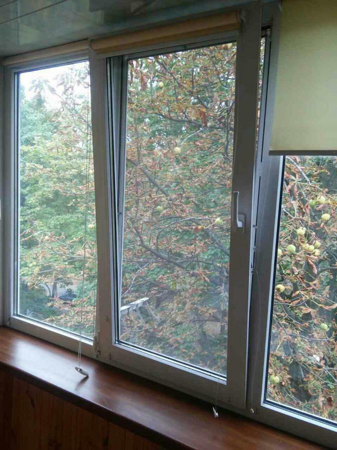 Apartments On Dontsya, 12 キエフ エクステリア 写真